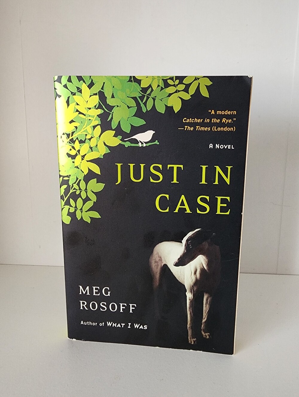 🖤3/$20 Just in Case by Meg Rosoff YA Paperback Book